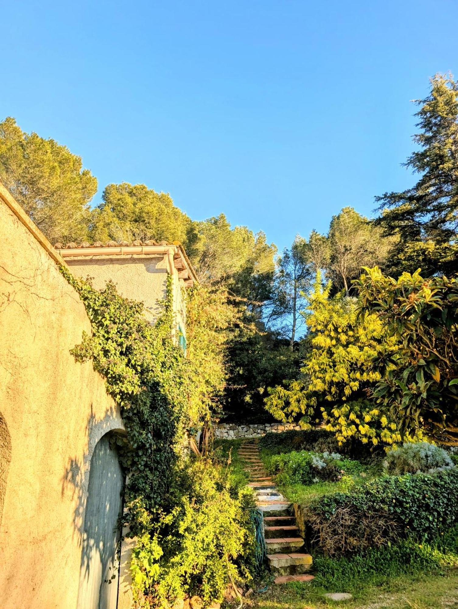Willa Les Calades - Piscine, Parc, Parking Arles Zewnętrze zdjęcie